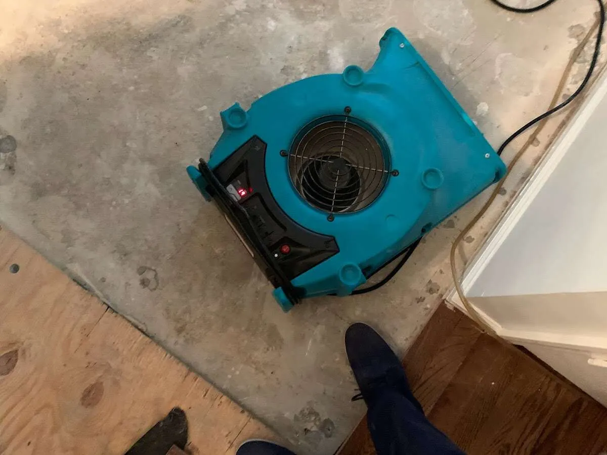 Air mover drying subfloor during Leak Detection & Repair in Enfield